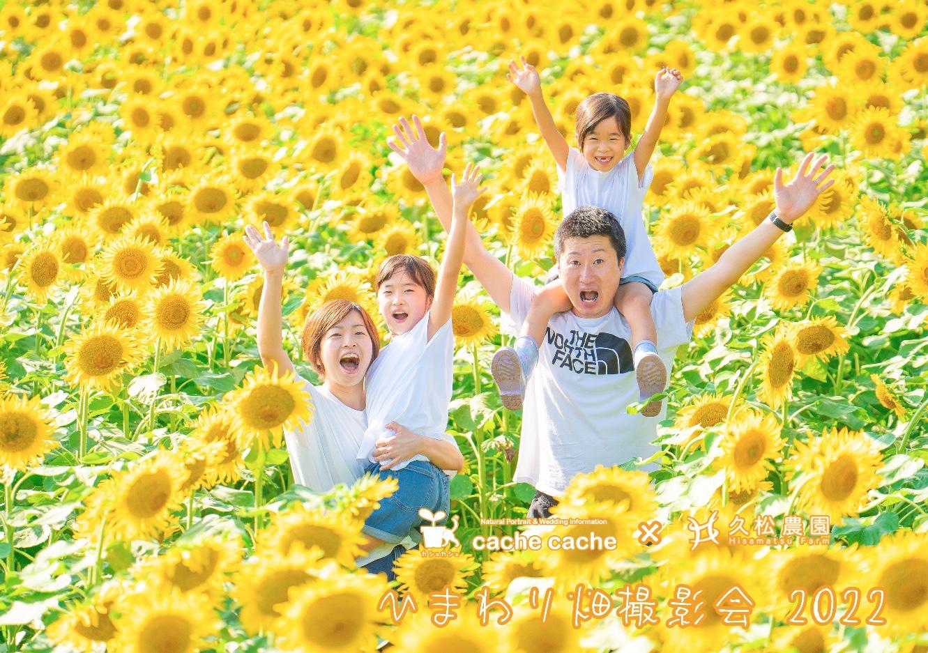 2022ひまわり畑撮影会のお知らせ🌻