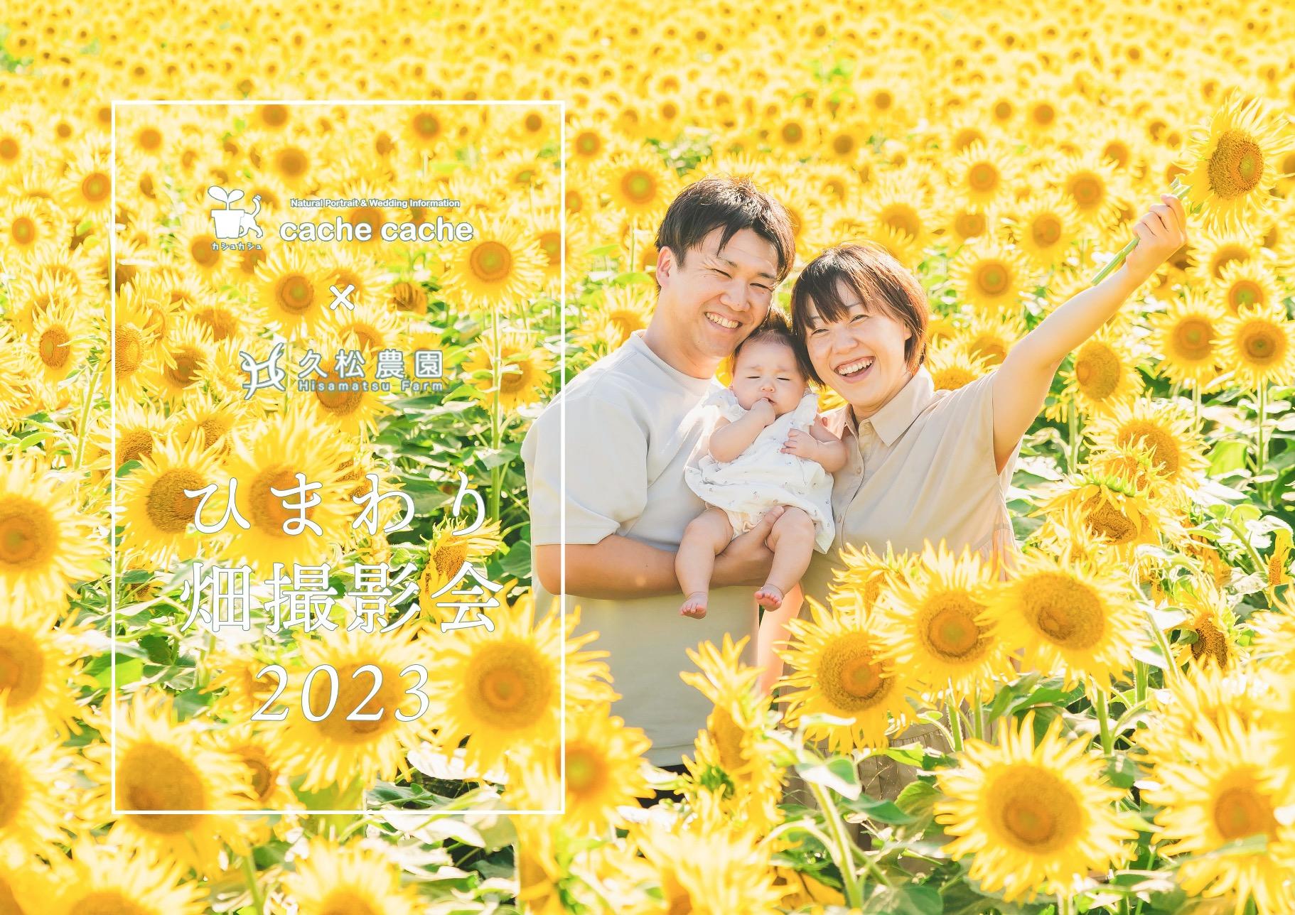 【第6回】2023年ひまわり畑撮影会🌻開催決定✨