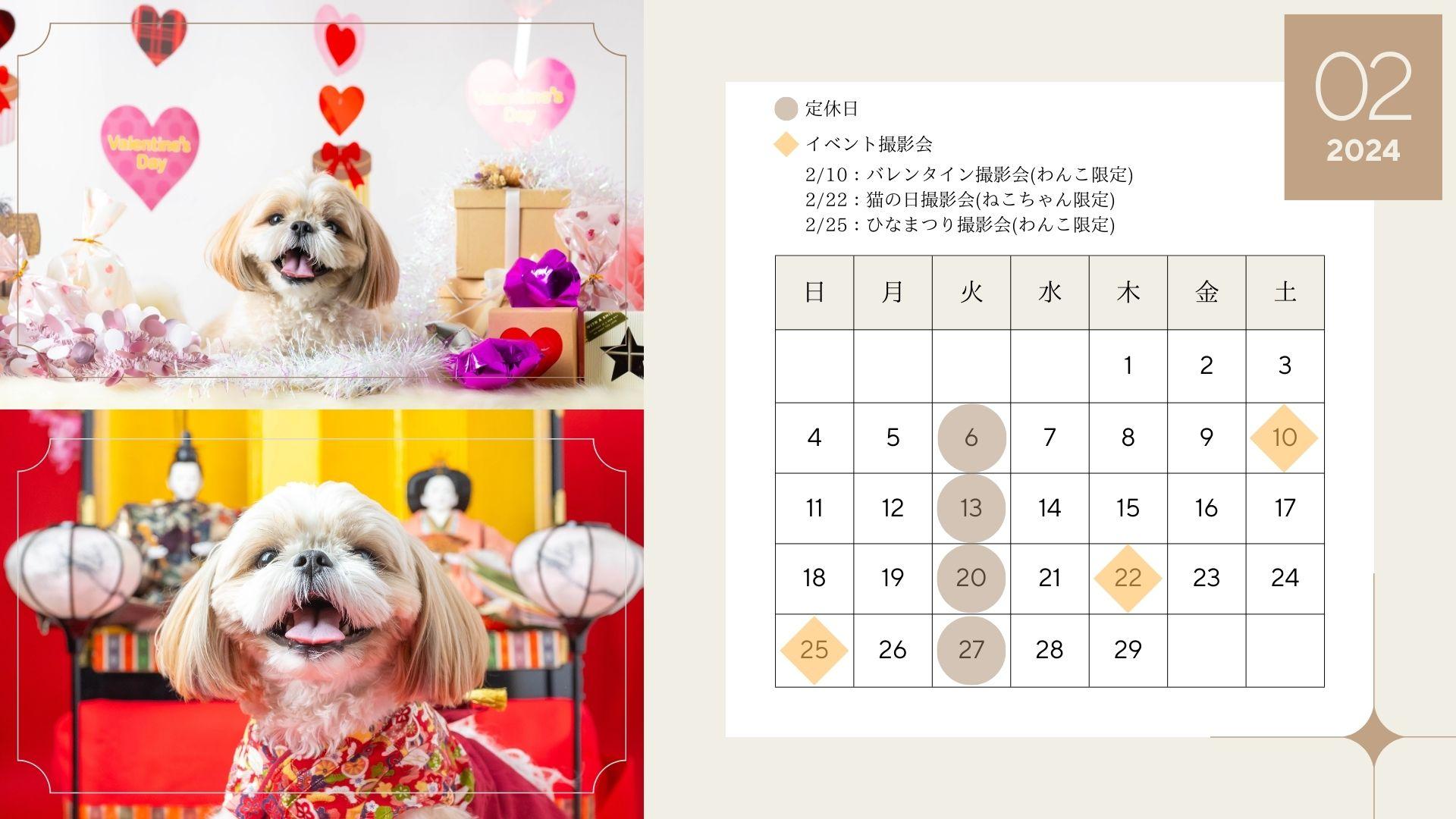 🐱2月キャンペーン&イベントのお知らせ🐶