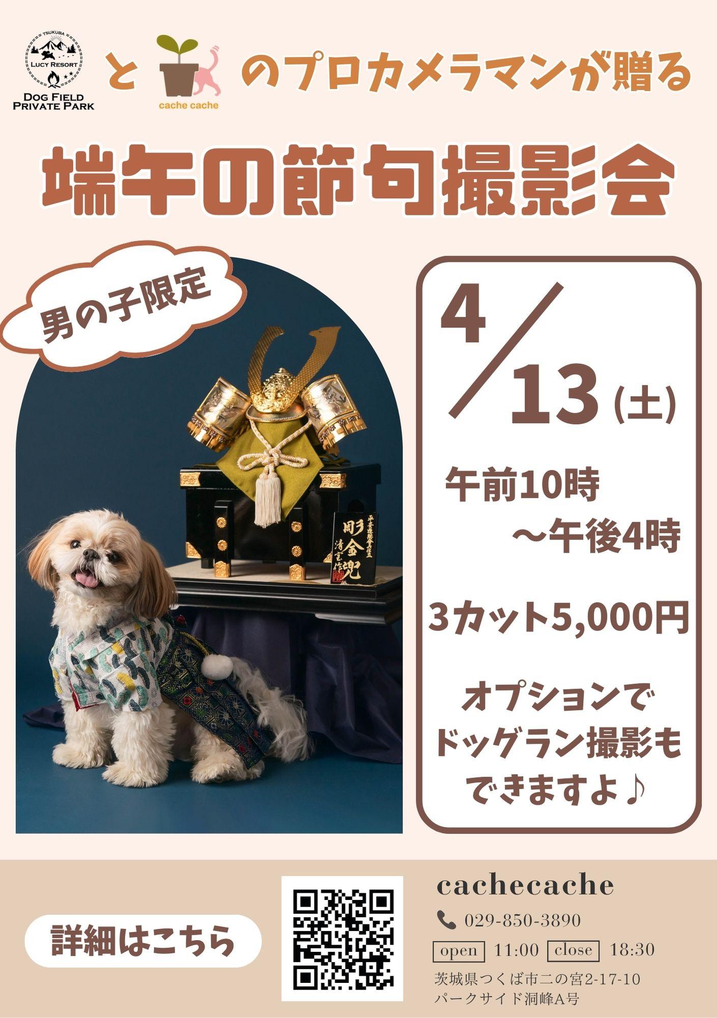 🐶男の子わんちゃん限定🐶LUCY RESORT 様コラボ企画第4弾⭐️端午の節句撮影会⭐️開催のお知らせ【4/13(土)開催🎏】