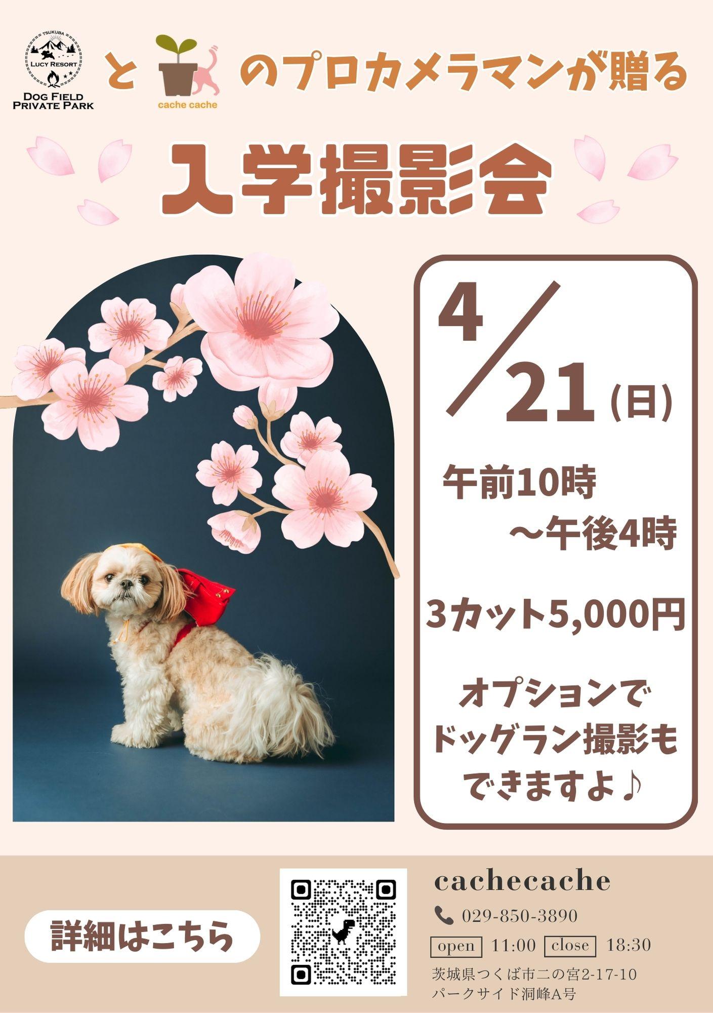 🐶わんちゃん限定🐶LUCY RESORT 様コラボ企画第5弾⭐️ランドセル撮影会⭐️開催のお知らせ【4/21(日)開催🎒】