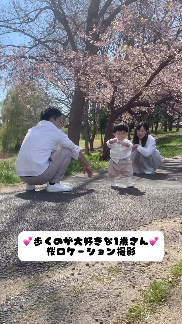 歩くの大好き1歳さん👶💕
桜🌸ロケーション撮影

 #カシュカシュ #つくば  #桜