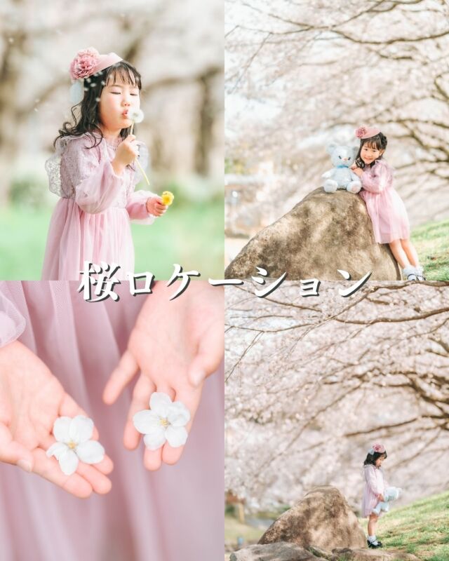 .
🌸桜ロケーション撮影ご予約可能受付中🌸

📍反町の森公園
📷 @cachecache_tsukuba 

🔖.·𓂃 𓈒

卒園入学プラン
35,000円(税込)
30カットデータ・3面または2面見開きアルバム
※桜ロケの場合は別途出張料がかかります

その他のお写真は @cachecache_tsukuba をご覧ください⭐️

ｰｰｰｰｰｰｰｰｰｰｰｰｰｰｰｰｰｰｰｰｰｰｰｰｰｰ
カシュカシュご利用方法️

①ご予約&お問い合わせ
🏷お電話 029-850-3890
🏷️公式LINE
🏷️予約、問い合わせフォーム(@cachecache_tsukuba ハイライト《プラン・料金》)

からご予約&お問い合わせ📞
スタジオの見学や打ち合わせも無料で承っております🤗
※tsukuba.cache2@gmail.comのメールを受信できるよう事前にご確認をお願いします

②ご来館
③データ&アルバム等の受け取り
アルバム等の商品はご自宅へ郵送でお届けいたします📮
撮影当日に《よく出来ましたカット10枚》をLINEにてお渡しさせていただきます🍀*゜

@cachecache_tsukuba 
茨城県つくば市二の宮2-17-10 パークサイド洞峰A号
open平日/11:00～18:30
closed 火曜

#cachecache #カシュカシュ #ファミリーフォト #フォトスタジオ #つくばスタジオ #洞峰公園 #入学フォト #入学記念