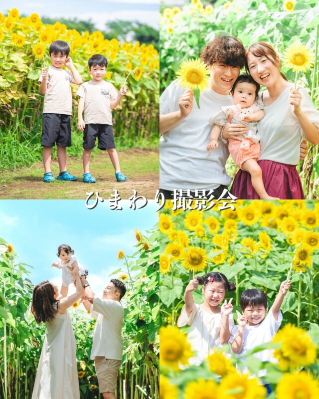 今年で8回目となる久松農園さんでのひまわり畑撮影会の日程が決定いたしました✨

毎年素晴らしいひまわり畑での撮影をさせて頂き、ありがとうございます！

一面に広がるひまわり畑で、夏の思い出を写真に残しませんか？

🌻ひまわり撮影プラン🌻
3カット¥10,000(税込)
◯全20カットデータ　＋¥3,000◯

開催日： 7/5(土)、7/6(日)、7/19(土)、7/20(日)、7/21(月/祝)

場所 ：土浦市藤沢にある久松農園さん

5/31(土)12:00に予約サイトオープンいたします！
ブックマークしておくと便利です♪

※こちらはイベント予約共通のサイトとなっております。　

※上記日時になりましたら、ひまわり撮影会の日時が予約可能となります。

🌻アルバム等の商品はこちら🌻

ここだけの限定アルバムも登場！
思い出をお家に持ち帰っちゃいましょう🥳✨

<カシュカシュからのお願い>
※ひまわりの開花状態や台風など天候の関係で直前に日程が変更になる可能性があります。
ご了承くださいませ><

※開催場所詳細はご予約頂いた後、LINEではなくメールにてご連絡いたします。

※当日現金、クレジットカードまたはPayPayでのお支払いでお願いいたします。

※後日ダウンロード形式でのデータをお送りいたします。

お申し込みに際しましてご不明な点などございましたらお気軽にご連絡ください。

☎︎：029-850-3890 (cachecache)

ぜひみなさまのご参加をお待ち申し上げております♪

#ひまわりフォト #ひまわり撮影会 #夏の思い出