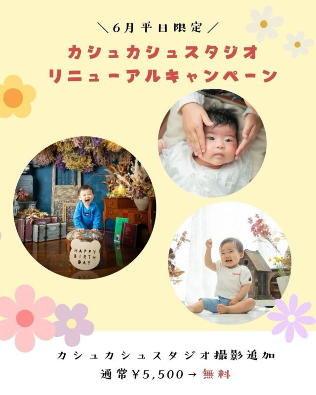 リニューアルしたスタジオも
おかげさまで大好評✨️

新しい魅力がたっぷり！
この機会にぜひご利用ください🤲

┈┈┈┈┈┈ 𖤣𖥧𖥣𖡡𖥧𖤣 ┈┈

【キャンペーン内容】
洞峰公園撮影をご希望の場合、
通常¥5,500(税込)の「カシュカシュスタジオ撮影オプション」が無料！

ベビーフォトやファミリーフォト、
1歳プラン、2歳プランなどでご利用が可能です✨️

【キャンペーン期間】
2025年6月2日(月)～6月30日(月)

※平日のみのキャンペーンとなります。
※すでにご予約の方も対象となりますのでご希望の場合はお申し付けください。
※カシュカシュスタジオのみでの撮影の場合はキャンペーン適用はございません。

┈┈┈┈┈┈ 𖤣𖥧𖥣𖡡𖥧𖤣 ┈┈

カシュカシュスタジオご利用方法
①ご予約＆お問合せ
⭐️お電話 029-850-3890
⭐️公式LINE
⭐️予約、問い合わせフォー厶(@cachecache_tsukubaハイライト〈プラン･料金〉)

からご予約＆お問合せ📞
スタジオの見学や打ち合わせも無料で承っております😌
※tsukuba.cache2@gmail.comのメールを受信できるよう事前にご確認をお願いします

②ご来館
③データ＆アルバム等の受け取り
アルバム等の商品はご自宅へ郵送でお届けいたします📮
撮影当日に《よく出来ましたカット10枚》をLINEにてお渡しさせて頂きます✨️

@cachecache_tsukuba
茨城県つくば市二の宮2-17-10 パークサイド洞峰A号
open平日/11:00~18:30
closed火曜

 #カシュカシュ  #キャンペーン  #ファミリーフォト