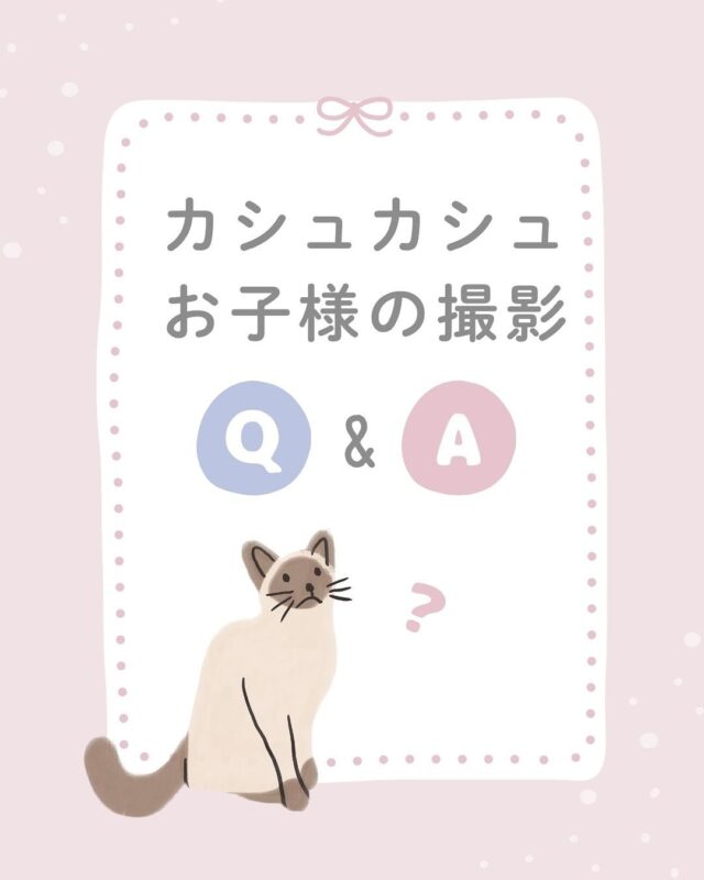 お子様の写真撮影で気になることや心配事がありますよね🥺💦

お子様に合わせて撮影をさせて頂きます😌

些細なことでもお気軽にお問い合わせください🤲
もちろん撮影のご予約前でも大丈夫です🙆‍♀️

┈┈┈┈┈┈ 𖤣𖥧𖥣𖡡𖥧𖤣 ┈┈

カシュカシュスタジオご利用方法
①ご予約＆お問合せ
⭐️お電話 029-850-3890
⭐️公式LINE
⭐️予約、問い合わせフォー厶(@cachecache_tsukubaハイライト〈プラン･料金〉)

からご予約＆お問合せ📞
スタジオの見学や打ち合わせも無料で承っております😌
※tsukuba.cache2@gmail.comのメールを受信できるよう事前にご確認をお願いします

②ご来館
③データ＆アルバム等の受け取り
アルバム等の商品はご自宅へ郵送でお届けいたします📮
撮影当日に《よく出来ましたカット10枚》をLINEにてお渡しさせて頂きます✨️

@cachecache_tsukuba
茨城県つくば市二の宮2-17-10 パークサイド洞峰A号
open平日/11:00~18:30
closed火曜

 #カシュカシュ  #キッズフォト