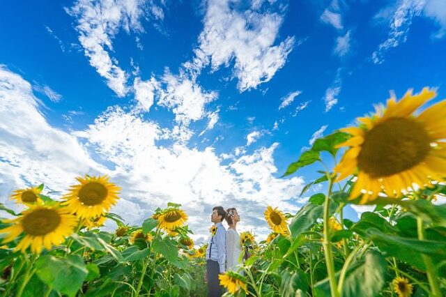 真夏のウエディングロケ🌻
季節ごとに楽しみ方が変わる日本に生まれて幸せです♪

7月はひまわり満開の撮影が可能です！
夏の思い出にぜひご体験ください^_^

#結婚式ドキュメンタリー #偶然を必然に #ギリフォトワークス #ウエディングスナップマスター #見えない声をキャッチしたい #2025婚 #ハプニングも愛せる結婚式 #カメラマン持ち込み #持ち込みカメラマンギリさん  #思い出したい思い出を #前撮り#笑いのある結婚式 #茨城花嫁  #思い出を辿る写真旅 #プロポーズ #後悔しない結婚式写真 #あたたかい写真をこのしたい #sonyα1  #花嫁学校講師 #ツァイス写真部  #結婚式写真はカメラマンで変わる #家族にも感謝されるカメラマンになる
