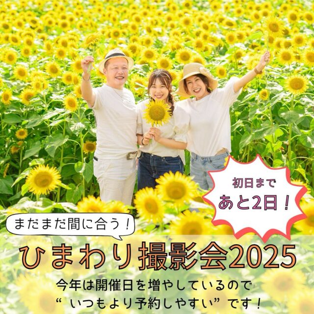 まだまだ間に合う！

毎年大好評の、ひまわり撮影会🌻
今年は開催日が5日間あるので、まだまだ絶賛ご予約受付中です🤗

〇ひまわり撮影プラン3カット付 ¥10,000(税込)

開催日:7/5(土)、7/6(日)、7/19(土)、7/20(日)、7/21(月/祝)

場所:土浦市藤沢にある久松農園さん(詳細は別途メールでご案内致します)

詳しくはホームページをご覧下さい🤲

┈┈┈┈┈┈ 𖤣𖥧𖥣𖡡𖥧𖤣 ┈┈

カシュカシュスタジオご利用方法
①ご予約＆お問合せ
⭐️お電話 029-850-3890
⭐️公式LINE
⭐️予約、問い合わせフォー厶(@cachecache_tsukubaハイライト〈プラン･料金〉)

からご予約＆お問合せ📞
スタジオの見学や打ち合わせも無料で承っております😌
※tsukuba.cache2@gmail.comのメールを受信できるよう事前にご確認をお願いします

②ご来館
③データ＆アルバム等の受け取り
アルバム等の商品はご自宅へ郵送でお届けいたします📮
撮影当日に《よく出来ましたカット10枚》をLINEにてお渡しさせて頂きます✨️

@cachecache_tsukuba
茨城県つくば市二の宮2-17-10 パークサイド洞峰A号
open平日/11:00~18:30
closed火曜

 #カシュカシュ  #ひまわり撮影会