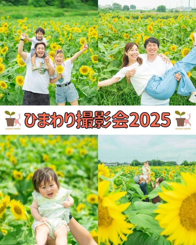 一面に広がるひまわり畑で、夏の思い出を写真に残しませんか？

いよいよ今週末、ひまわり撮影会後半戦スタート！！ 

🌻ひまわり撮影プラン🌻 3カット¥10,000(税込) ◯全20カットデータ　＋¥3,000◯

開催日： 7/19(土)、7/20(日)、7/21(月/祝)
場所 ：土浦市藤沢にある久松農園さん
(撮影会場は別途メールでご案内いたします)

詳しくはホームページのブログをご覧下さい🤲

┈┈┈┈┈┈ 𖤣𖥧𖥣𖡡𖥧𖤣 ┈┈

カシュカシュスタジオご利用方法
①ご予約＆お問合せ
⭐️お電話 029-850-3890
⭐️公式LINE
⭐️予約、問い合わせフォー厶(@cachecache_tsukubaハイライト〈プラン･料金〉)

からご予約＆お問合せ📞
スタジオの見学や打ち合わせも無料で承っております😌
※tsukuba.cache2@gmail.comのメールを受信できるよう事前にご確認をお願いします

②ご来館
③データ＆アルバム等の受け取り
アルバム等の商品はご自宅へ郵送でお届けいたします📮
撮影当日に《よく出来ましたカット10枚》をLINEにてお渡しさせて頂きます✨️

@cachecache_tsukuba
茨城県つくば市二の宮2-17-10 パークサイド洞峰A号
open平日/11:00~18:30
closed火曜

 #ひまわり撮影会  #イベント