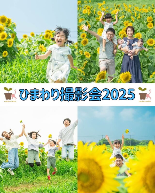 一面に広がるひまわり畑で、夏の思い出を写真に残しませんか？

いよいよ今週末、ひまわり撮影会後半戦スタート！！ 

🌻ひまわり撮影プラン🌻 3カット¥10,000(税込) ◯全20カットデータ　＋¥3,000◯

開催日： 7/19(土)、7/20(日)、7/21(月/祝)
場所 ：土浦市藤沢にある久松農園さん
(撮影会場は別途メールでご案内いたします)

詳しくはホームページのブログをご覧下さい🤲

┈┈┈┈┈┈ 𖤣𖥧𖥣𖡡𖥧𖤣 ┈┈

カシュカシュスタジオご利用方法
①ご予約＆お問合せ
⭐️お電話 029-850-3890
⭐️公式LINE
⭐️予約、問い合わせフォー厶(@cachecache_tsukubaハイライト〈プラン･料金〉)

からご予約＆お問合せ📞
スタジオの見学や打ち合わせも無料で承っております😌
※tsukuba.cache2@gmail.comのメールを受信できるよう事前にご確認をお願いします

②ご来館
③データ＆アルバム等の受け取り
アルバム等の商品はご自宅へ郵送でお届けいたします📮
撮影当日に《よく出来ましたカット10枚》をLINEにてお渡しさせて頂きます✨️

@cachecache_tsukuba
茨城県つくば市二の宮2-17-10 パークサイド洞峰A号
open平日/11:00~18:30
closed火曜

 #ひまわり撮影会  #イベント
