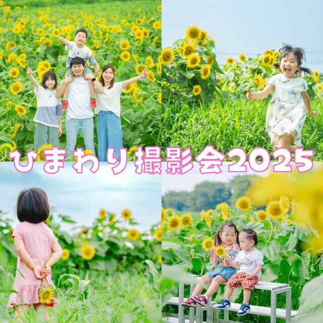 🌻ひまわり撮影会2025🌻

無事に終了致しました🤗

今年もたくさんのご家族にご参加いただき、
本当にありがとうございました！

満開のひまわりに囲まれて、いろんな「夏の思い出」が撮れました😁

お写真少しだけご紹介させていただきます📸

┈┈┈┈┈┈ 𖤣𖥧𖥣𖡡𖥧𖤣 ┈┈

カシュカシュスタジオご利用方法
①ご予約＆お問合せ
⭐️お電話 029-850-3890
⭐️公式LINE
⭐️予約、問い合わせフォー厶(@cachecache_tsukubaハイライト〈プラン･料金〉)

からご予約＆お問合せ📞
スタジオの見学や打ち合わせも無料で承っております😌
※tsukuba.cache2@gmail.comのメールを受信できるよう事前にご確認をお願いします

②ご来館
③データ＆アルバム等の受け取り
アルバム等の商品はご自宅へ郵送でお届けいたします📮
撮影当日に《よく出来ましたカット10枚》をLINEにてお渡しさせて頂きます✨️

@cachecache_tsukuba
茨城県つくば市二の宮2-17-10 パークサイド洞峰A号
open平日/11:00~18:30
closed火曜

 #カシュカシュ  #フォトスタジオ